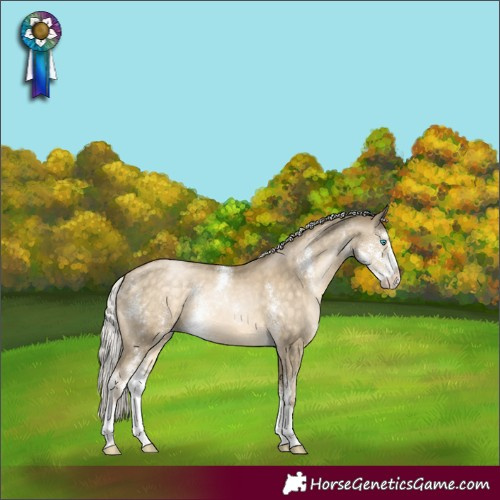 Horse Color:Silver Buckskin Pearl Sabino Rabicano