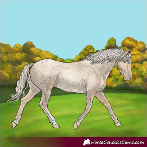 Horse Color:Palomino Roan Pearl 