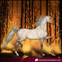 Horse Color:Chocolate Palomino Roan Dun