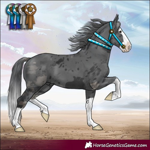 Horse Color:Black Merle Splash