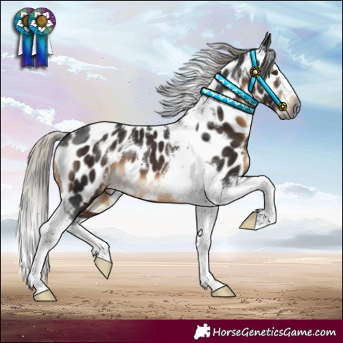 Horse Color:Gray White Spotted Silver Brown Splash Tobiano Near Leopard 