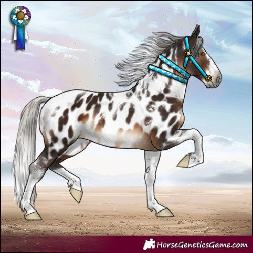 Horse Color:Gray White Spotted Silver Brown Mushroom Splash Tobiano Near Leopard