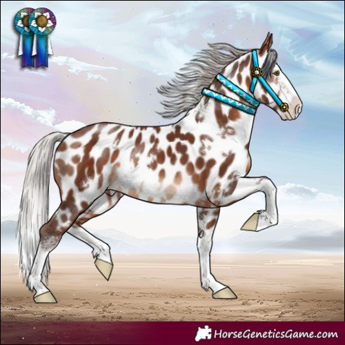 Horse Color:White Spotted Silver Brown Sabino Splash Near Leopard Rabicano 