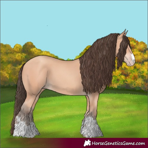 Horse Color:Unknown 