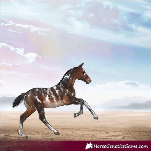 Horse Color:Powder White White Spotted Brown 