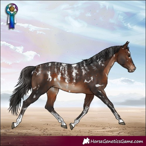 Horse Color:Powder White White Spotted Brown 