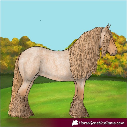 Horse Color:Red Roan Rabicano
