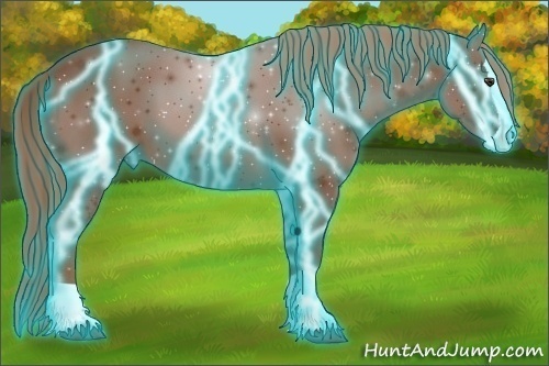 Horse Color:Thunderstruck Chestnut Splash