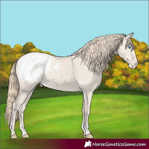 Horse Color:Smoky Creme Dun Blanket 