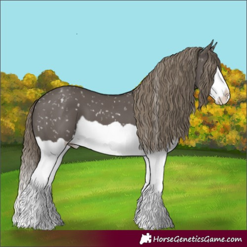 Horse Color:Smoky Grullo Splash Snowflake Varnish