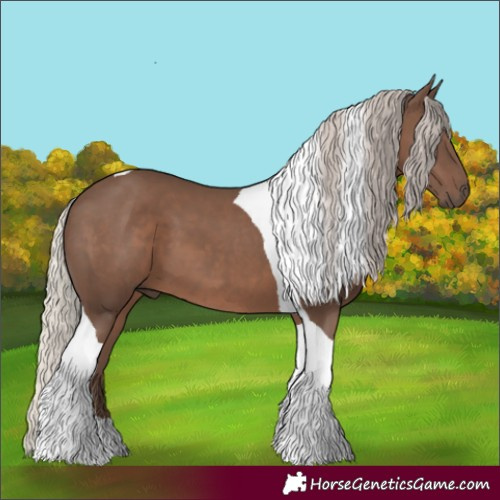 Horse Color:Silver Black Tobiano 