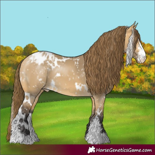 Horse Color:White Spotted Buckskin Dun Sabino Snowflake Varnish