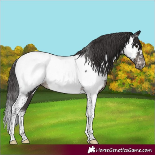 Horse Color:Smoky Black Tobiano Near Fewspot Rabicano 