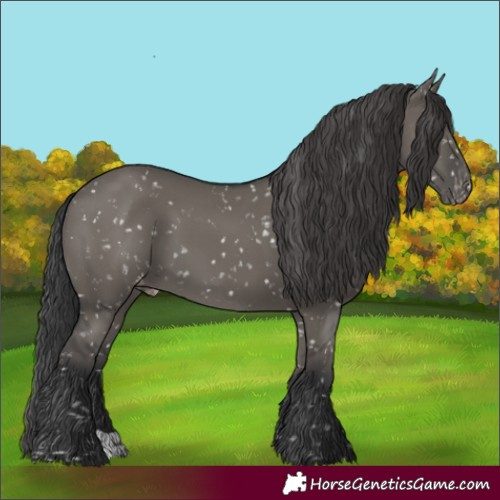 Horse Color:Grullo Snowflake Varnish