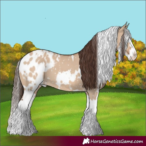 Horse Color:White Spotted Bay Dun Splash Blanket 