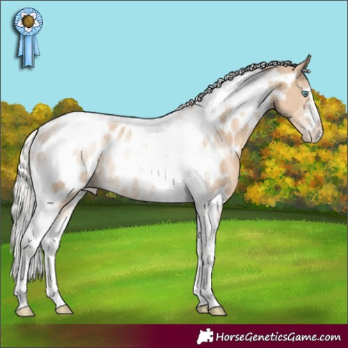 Horse Color:Silver Smoky Creme Tobiano Near Leopard Rabicano