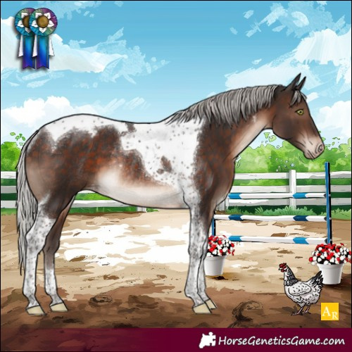 Horse Color:Silver Brown Mushroom Tobiano Snowcap Rabicano 