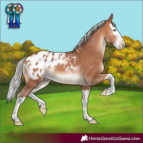 Horse Color:Silver Bay Mushroom Splash Blanket Rabicano 