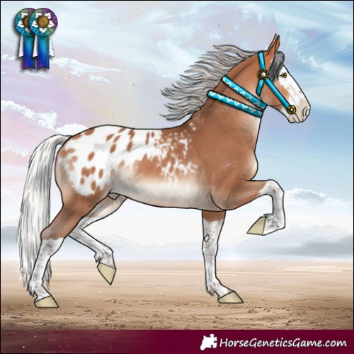 Horse Color:Silver Bay Mushroom Splash Blanket Rabicano 