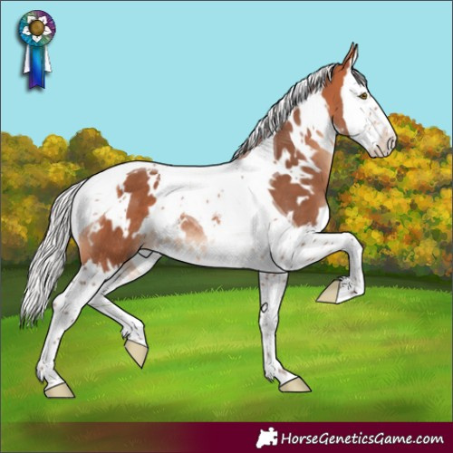 Horse Color:White Spotted Silver Bay Mushroom Splash Tobiano Rabicano 