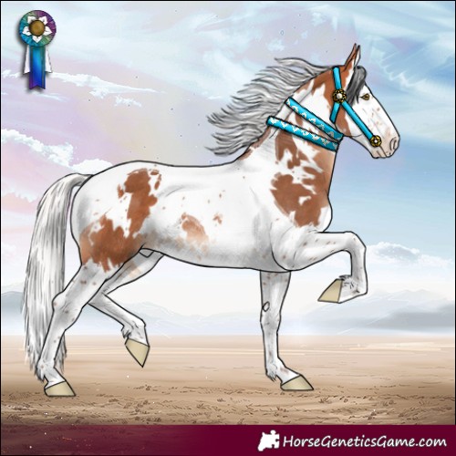 Horse Color:White Spotted Silver Bay Mushroom Splash Tobiano Rabicano 