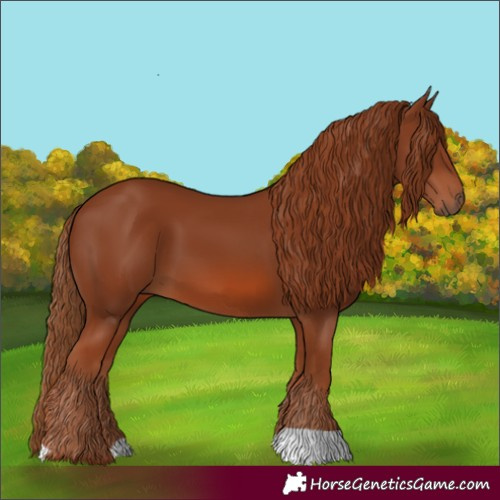 Horse Color:Chestnut 