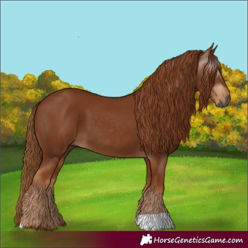 Horse Color:Gray Chestnut 