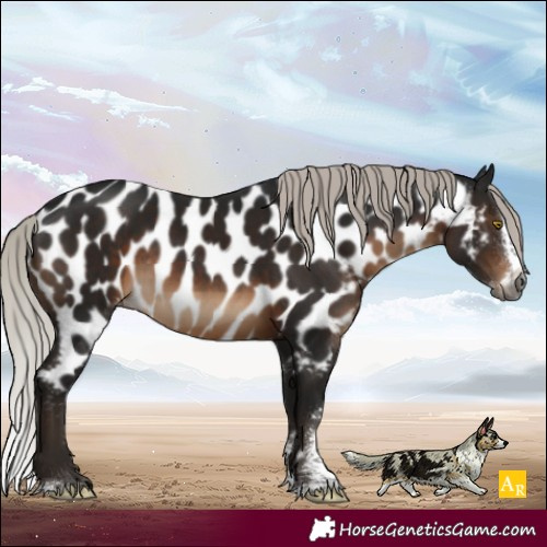 Horse Color:Gray Silver Brown Mushroom Sabino Splash Near Leopard Rabicano