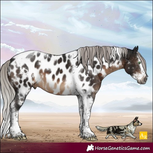Horse Color:Gray White Spotted Silver Brown Mushroom Splash Tobiano Near Leopard