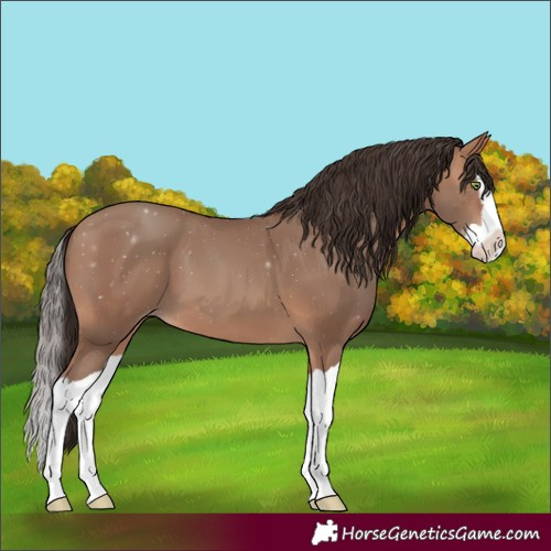 Horse Color:Sable Champagne Splash 