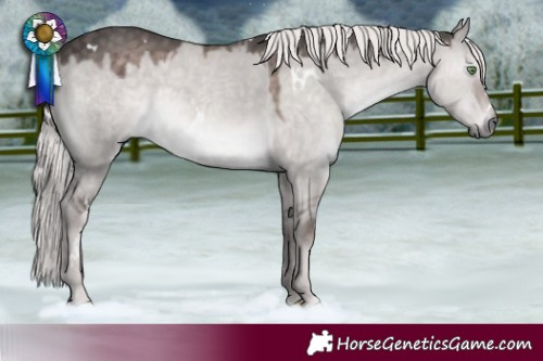 Horse Color:Platinum White Spotted Chocolate Palomino Dun Rabicano