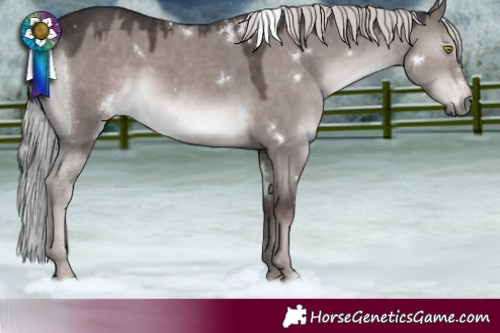Horse Color:Platinum White Spotted Liver Red Dun Rabicano 