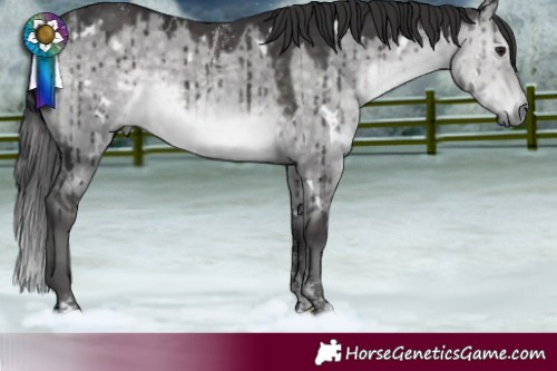 Horse Color:Powder White Platinum White Spotted Buckskin Dun Rabicano Brindle 