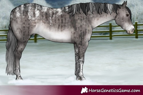 Horse Color:Powder White Platinum Brown Dun Rabicano Brindle 