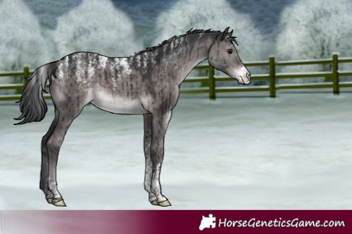 Horse Color:Powder White Platinum Brown Dun Rabicano Brindle