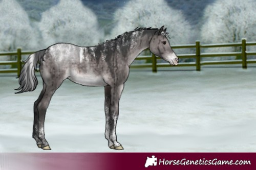 Horse Color:Powder White Platinum Brown Dun Rabicano Brindle 