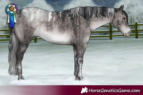 Horse Color:Powder White Platinum Brown Dun Rabicano Brindle 