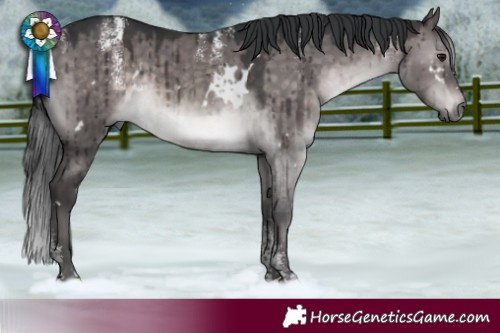 Horse Color:Powder White Platinum White Spotted Brown Dun Rabicano Brindle