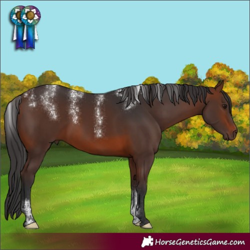 Horse Color:Powder White Brown Rabicano
