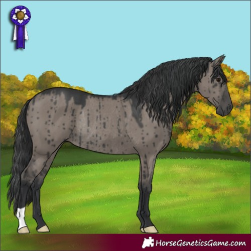 Horse Color:Grullo Rabicano Brindle 