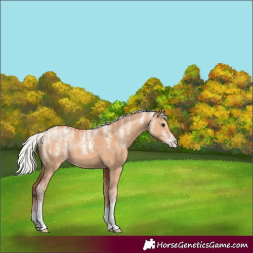 Horse Color:Powder White Silver Bay Dun Sabino 