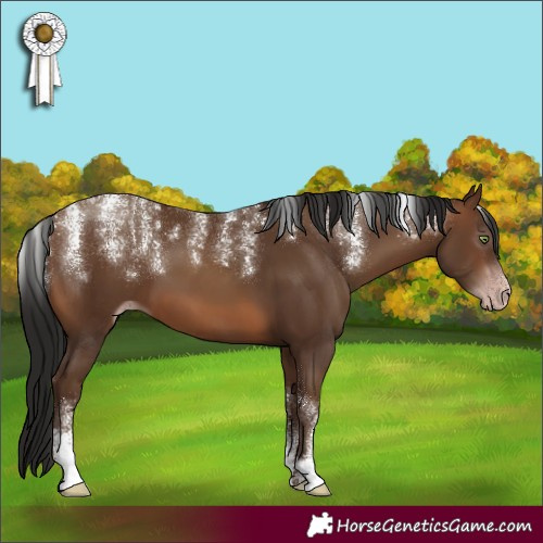 Horse Color:Powder White Gray Amber Champagne 