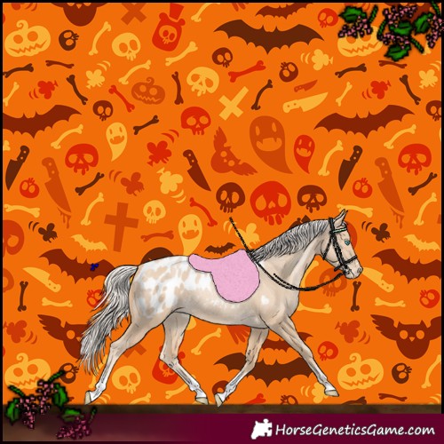 Horse Color:Palomino Pearl Tobiano Blanket Rabicano