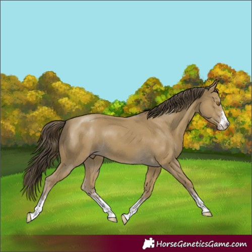 Horse Color:Classic Cream Champagne 