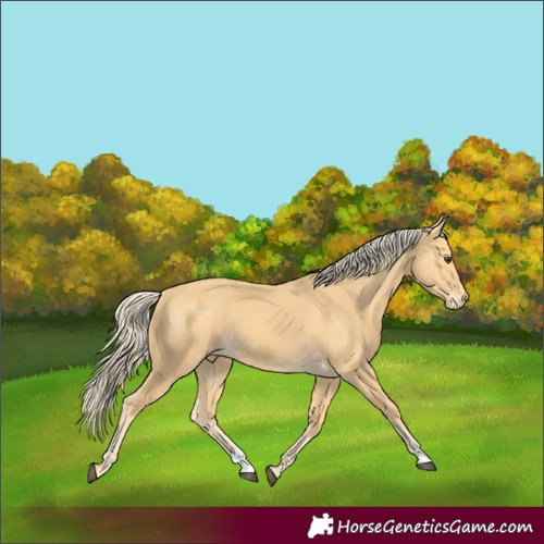 Horse Color:Palomino Varnish 