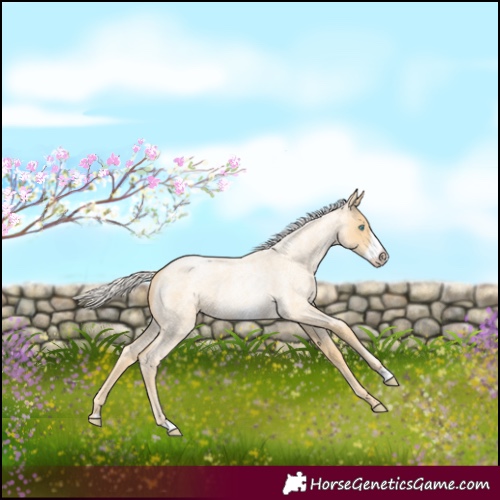 Horse Color:Silver Smoky Blue Roan Pearl Frame 