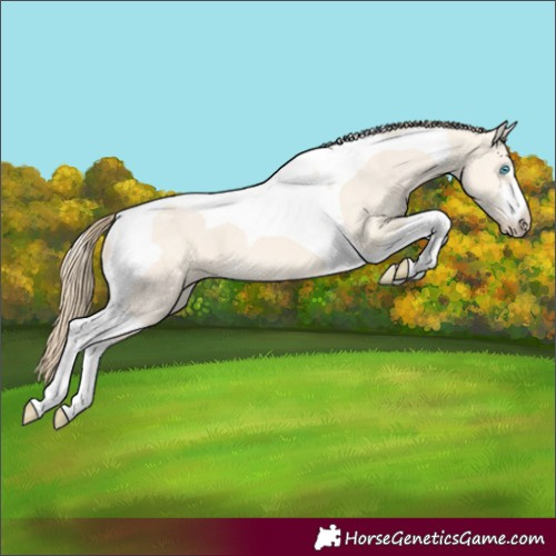 Horse Color:Perlino Dun Tobiano