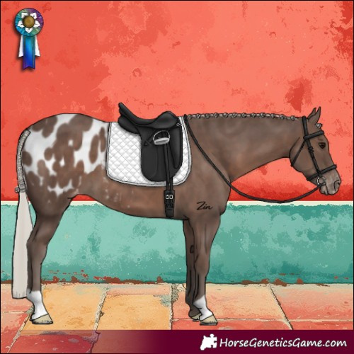 Horse Color:Silver Black Blanket 