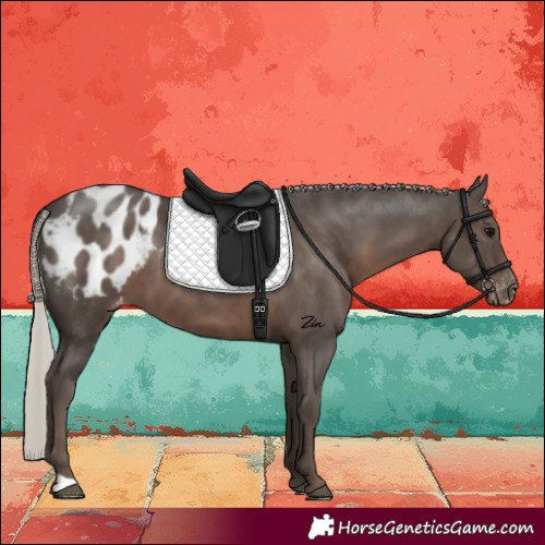Horse Color:Silver Black Blanket 