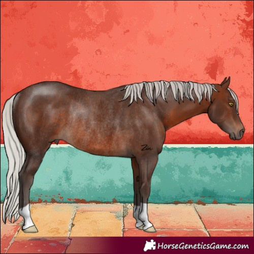 Horse Color:Silver Brown Rabicano 